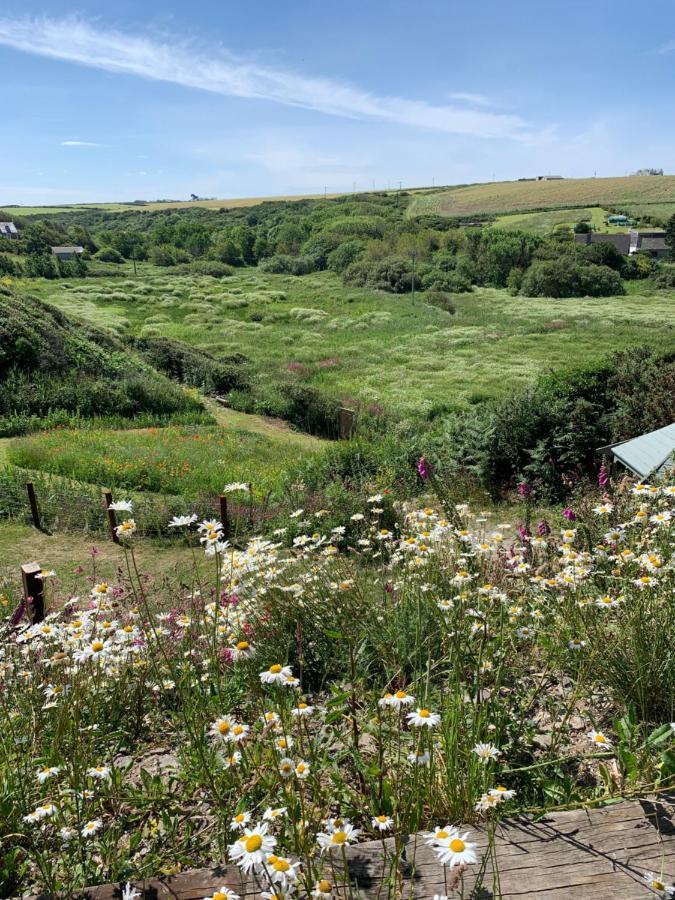 Tides Reach, Deluxe Shepherds Hut 1, 100M From The Beach Saint Merryn Exterior foto